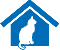 cat sitting