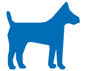 Elderly pet care visits