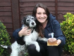 Kerry Donn Petpals Chingford