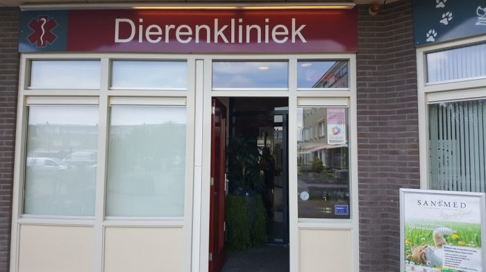 Finding a vet abroad