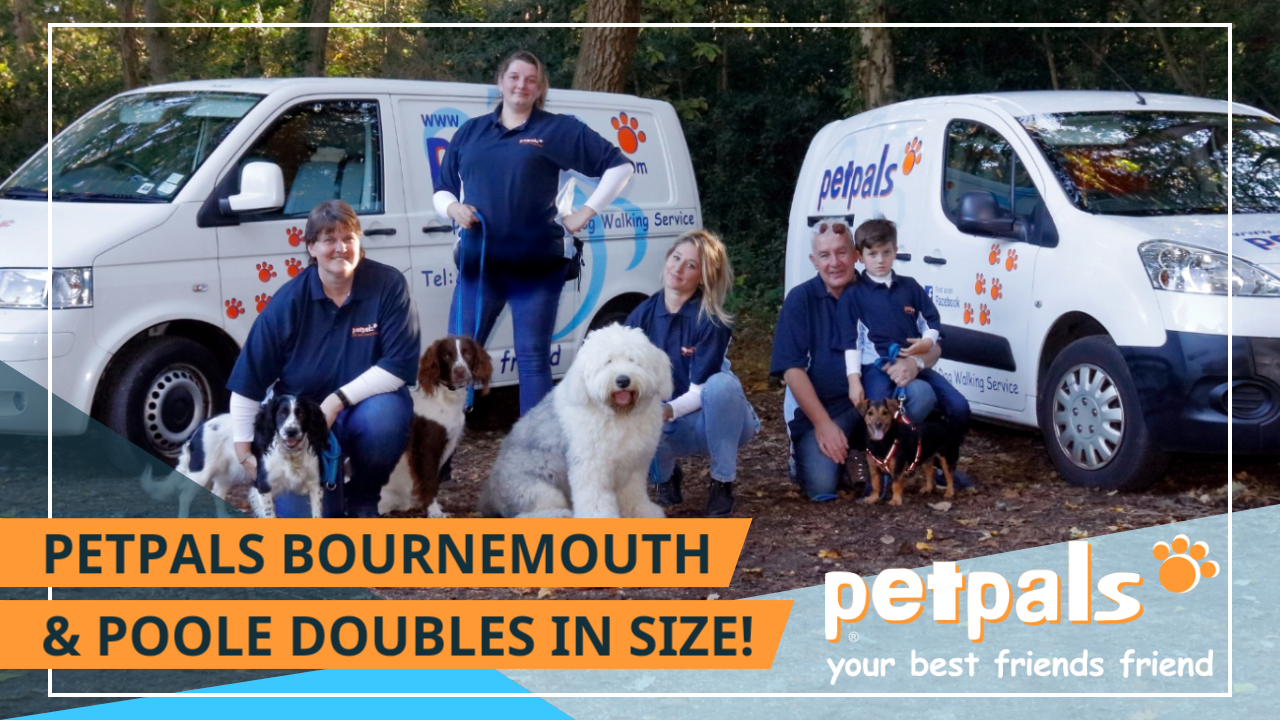 Petpals Bournemouth and Poole Doubles in Size