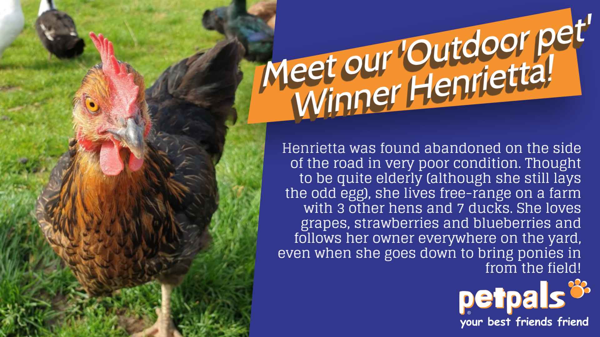 Henrietta