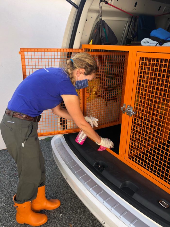 Petpals cleaning out a van